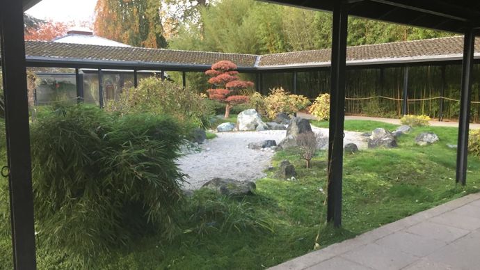 La collection de bonzaïs du parc floral est mise en valeur dans des pavillons conçus dans un style japonais. © Léna Hespel